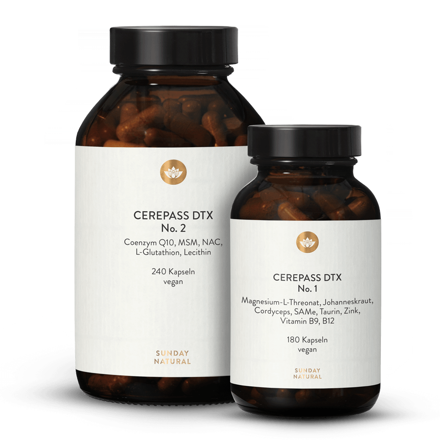 Cerepass DTX Set 1 St.
