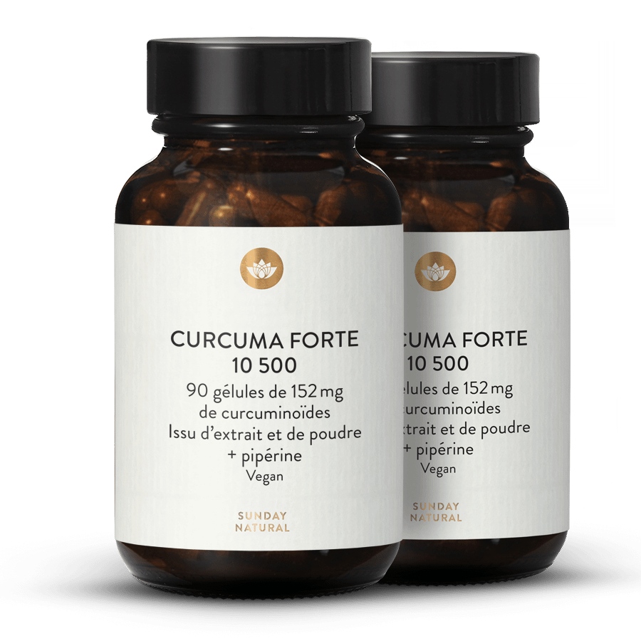 Curcuma Forte 2 x 90 gélules