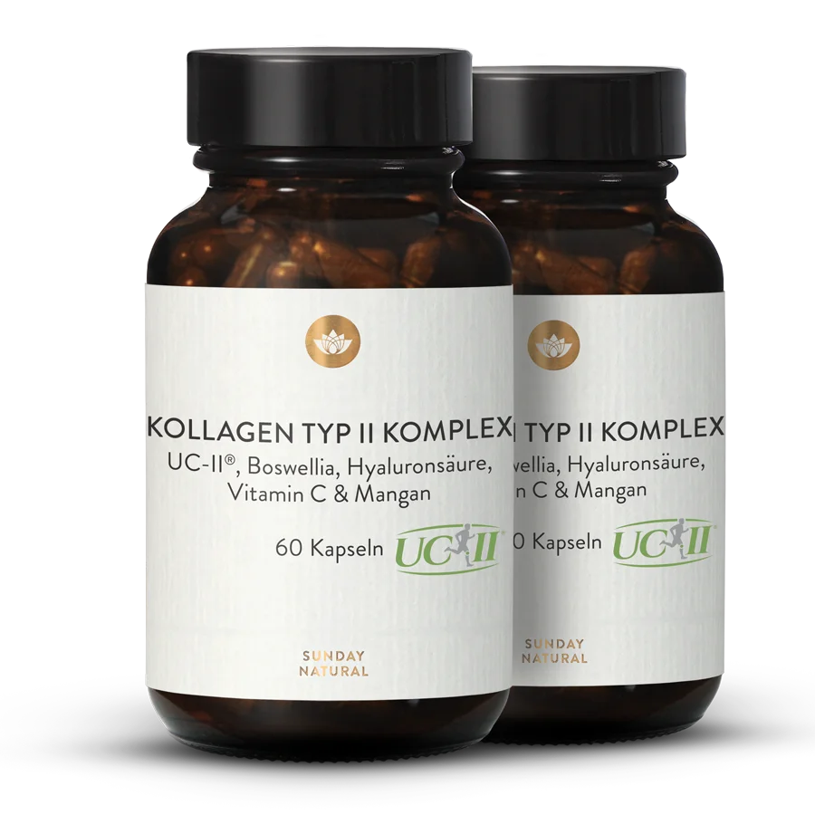 Type II Collagen Complex 2x60 capsules