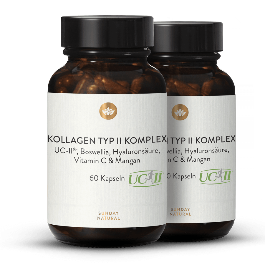 Kollagen Typ II Komplex 2x60 Kapseln