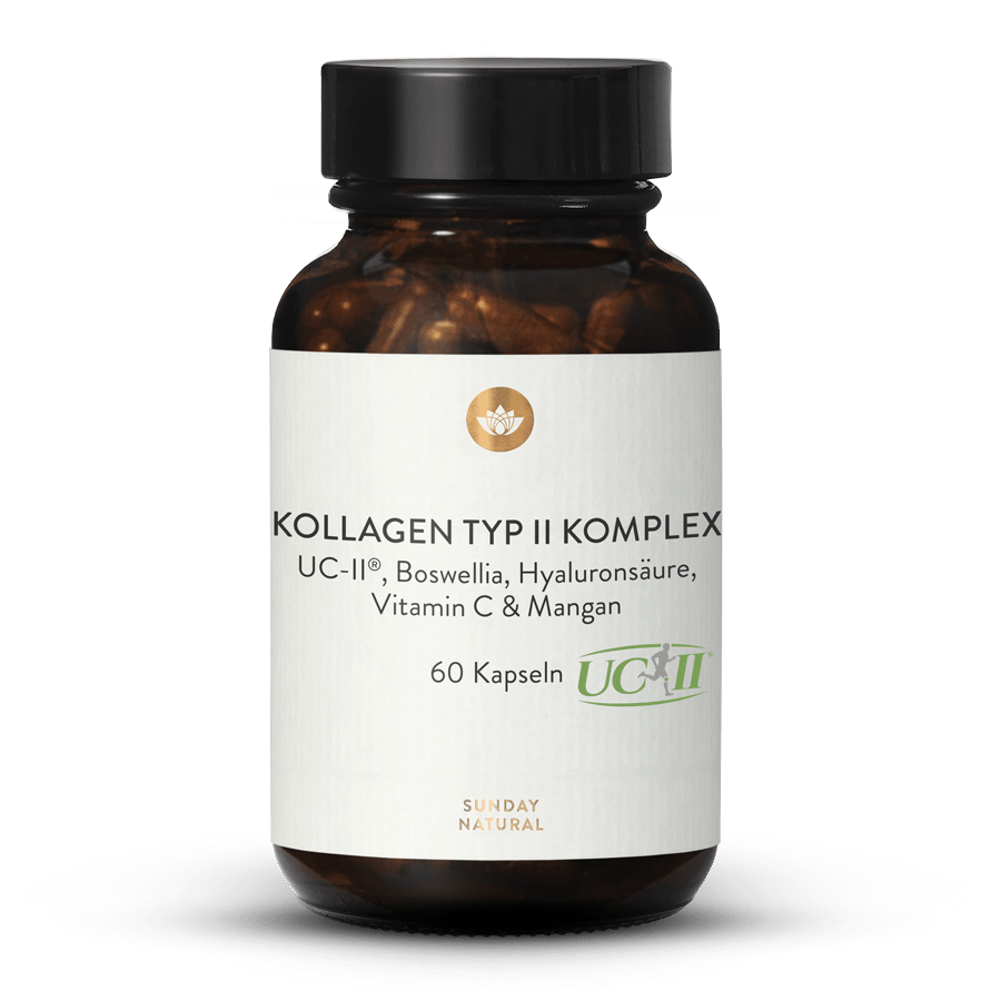 Kollagen Typ II Komplex 60 Kapseln
