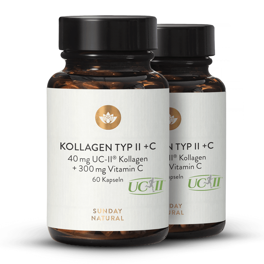 Kollagen Typ II + C 2x3x60 Kapseln