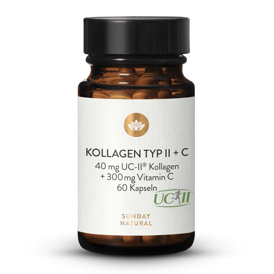 Kollagen Typ II + C 60 Kapseln