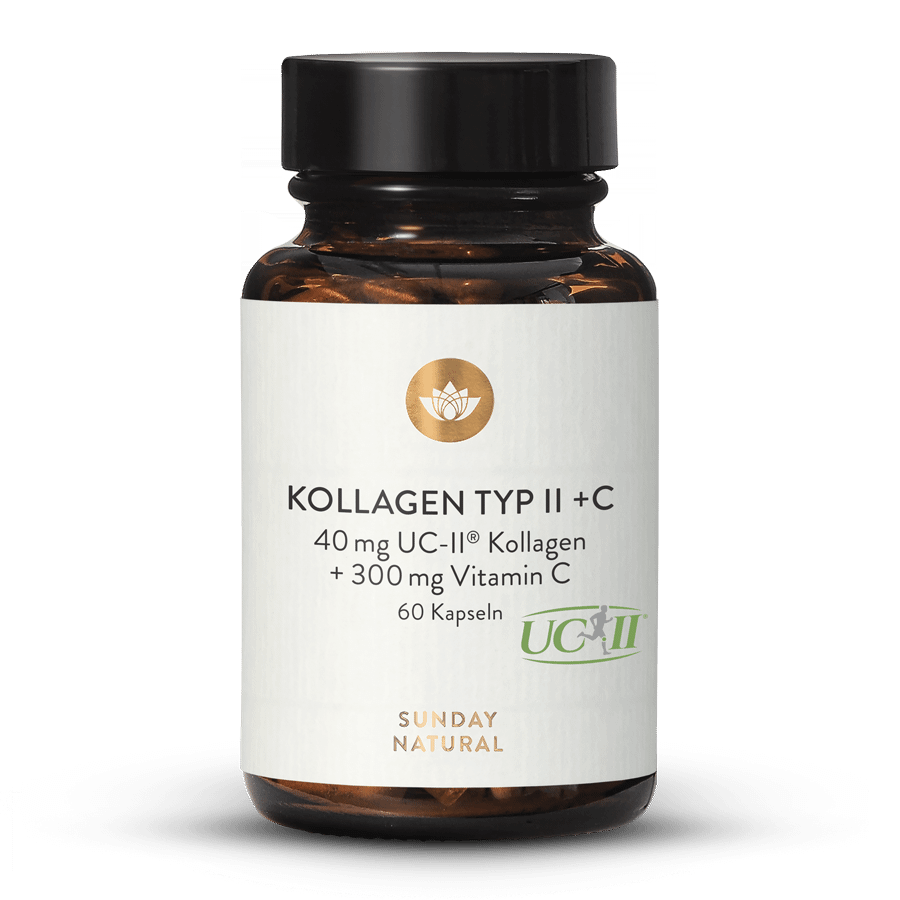 Kollagen Typ II + C 3x60 Kapseln