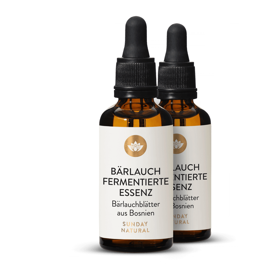 Ail des ours fermenté 2 x 50 ml