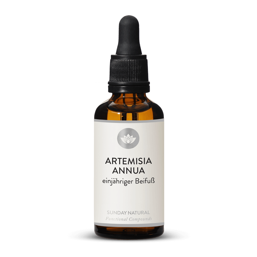 Artemisia Annua 50ml