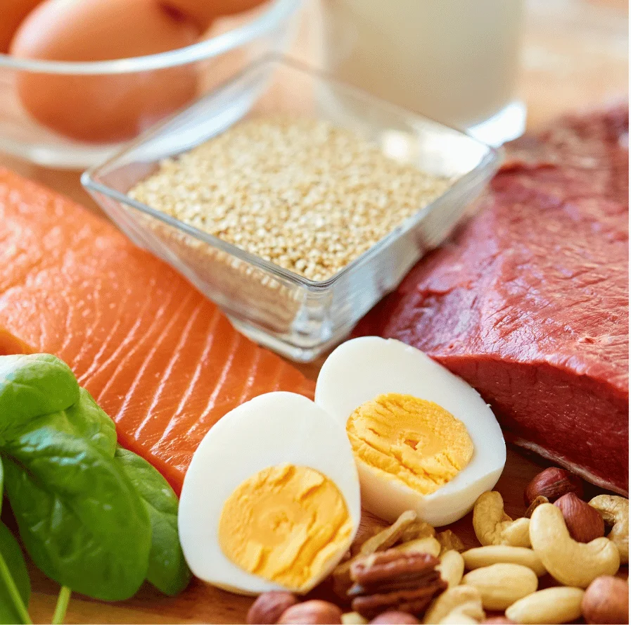 On Demand Webinar Protein: Der Schlüsselbaustein für deinen Körper 1 St.