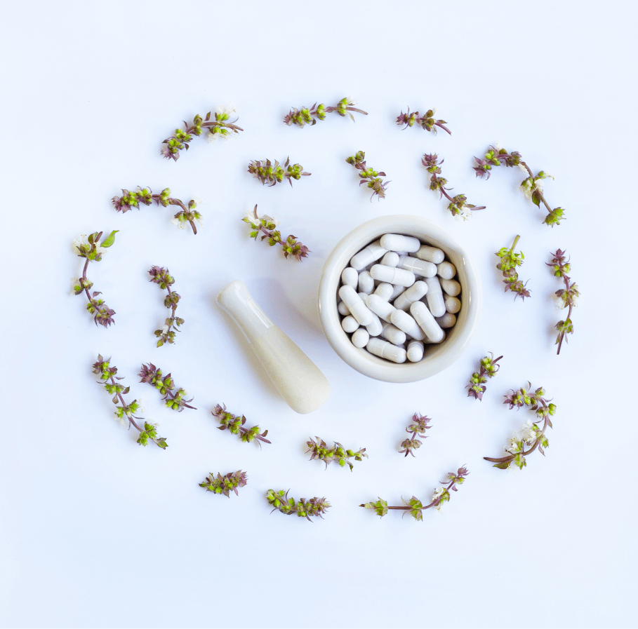 Live Webinar: Einführung in die Mikronährstofftherapie 1 St.