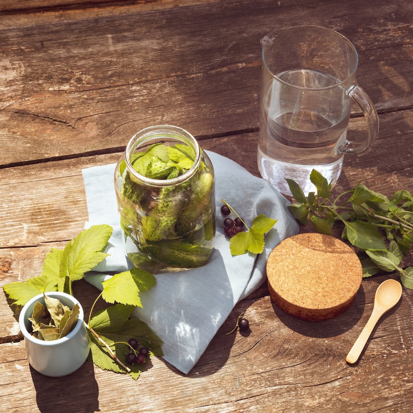 On Demand Webinar Detox verstehen: Matrixreinigung & Ausscheidungswege 1 St.