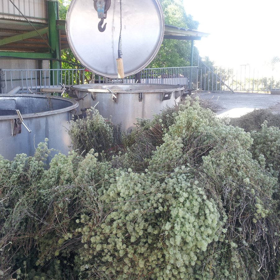 Farm