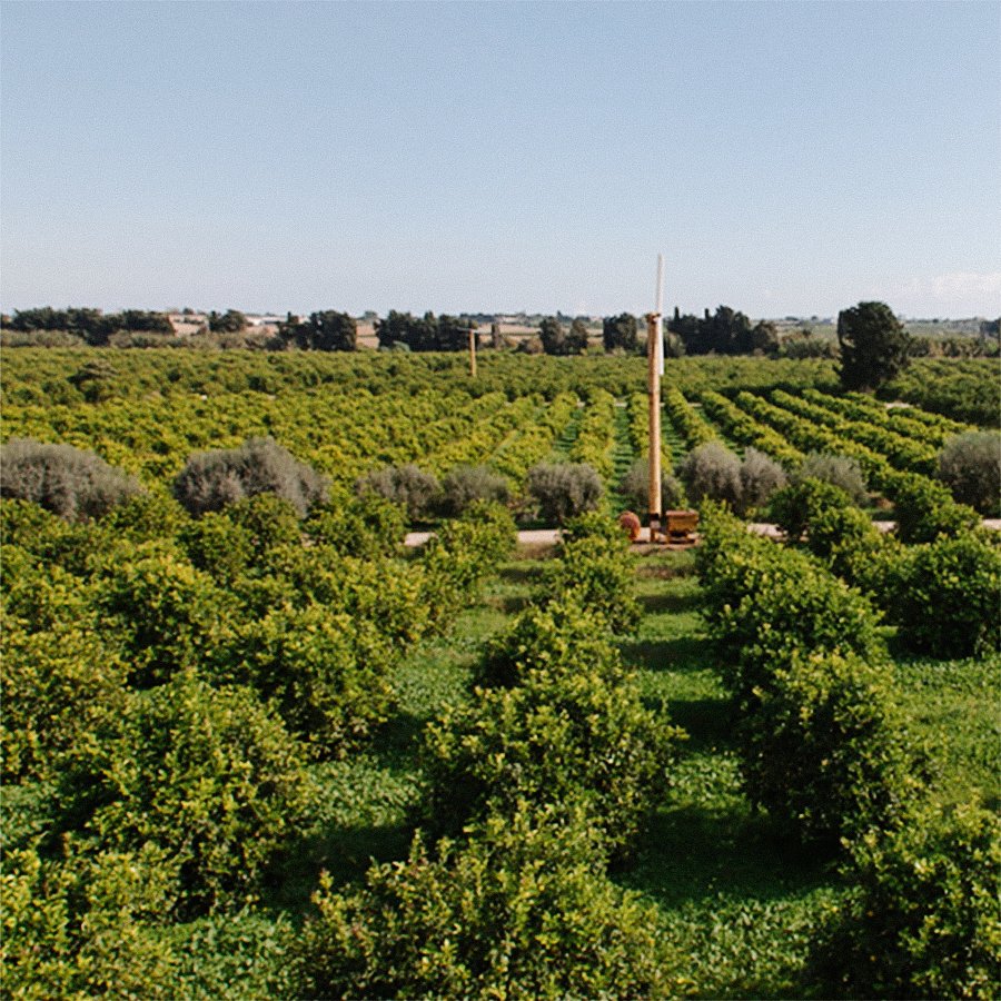 Farm