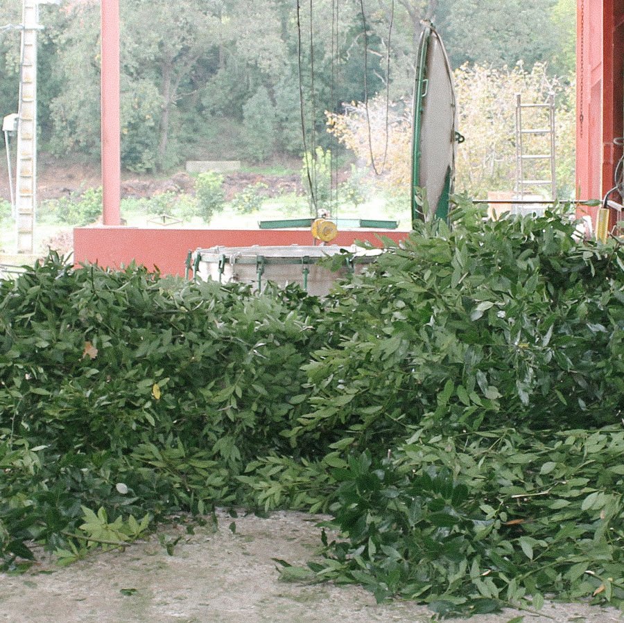 Ferme
