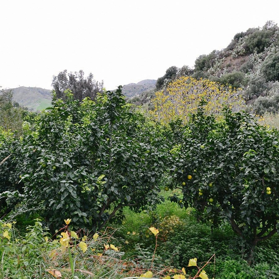 Farm