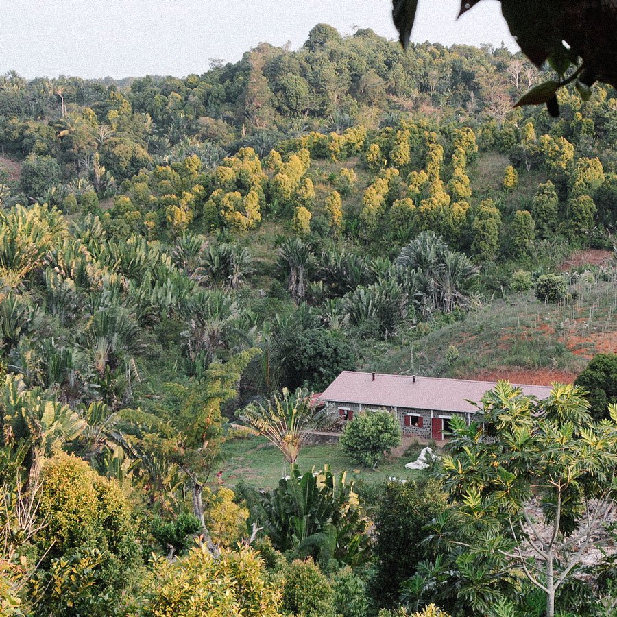 Farm