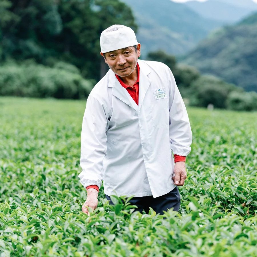 Tea Farm