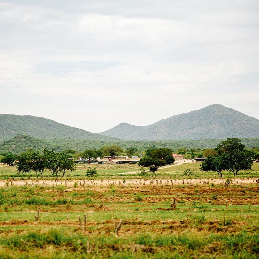 Farm