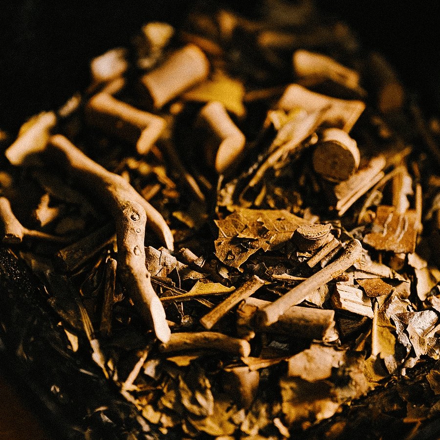 Sannenbancha