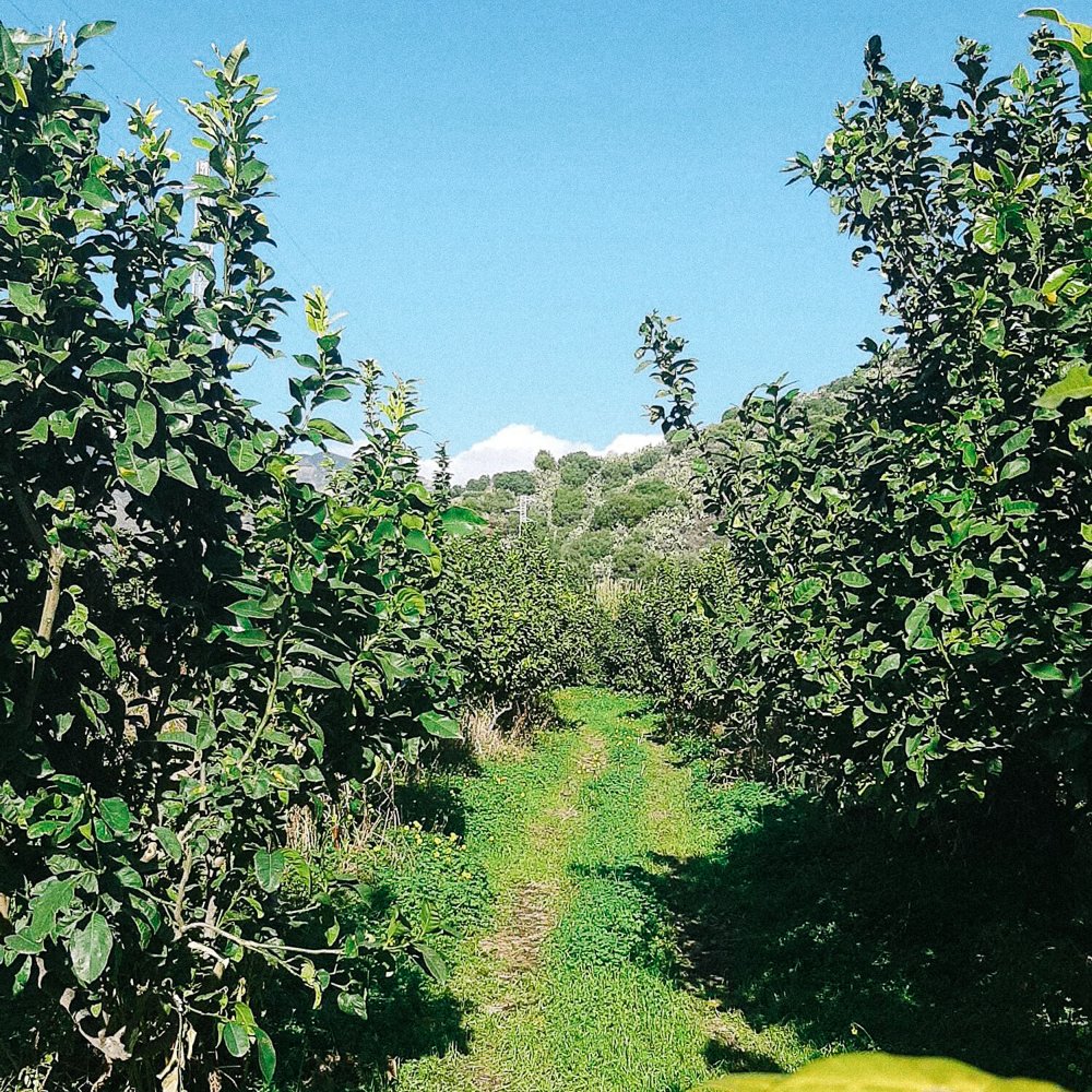 Farm