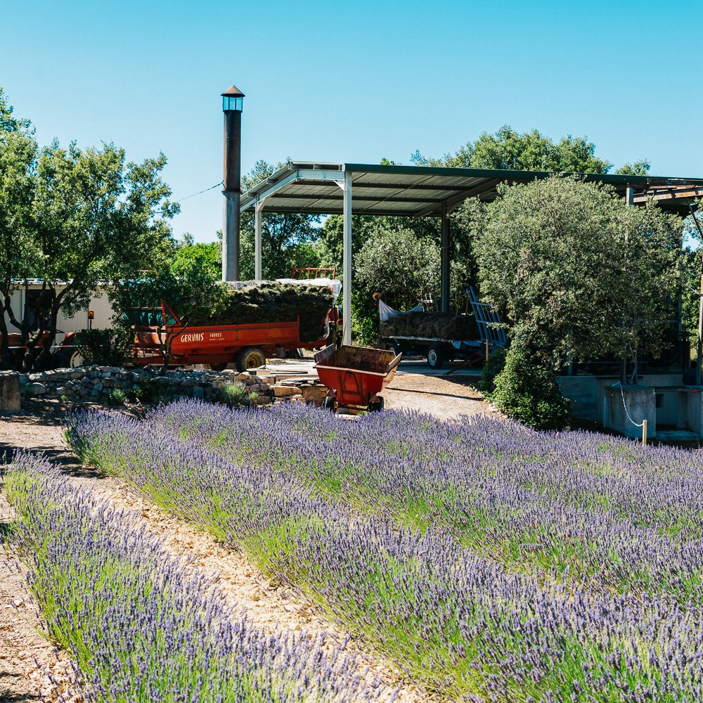 Finest Origin - Highest Grade