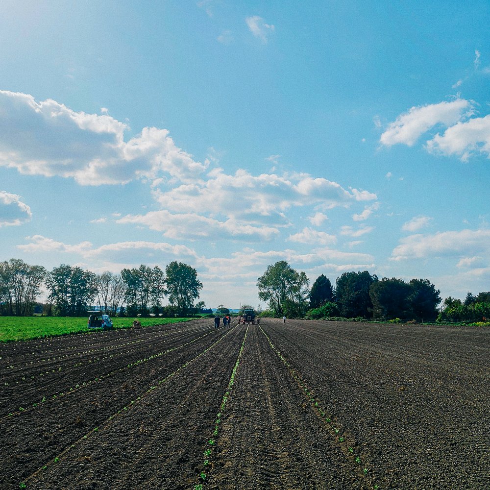 Farm