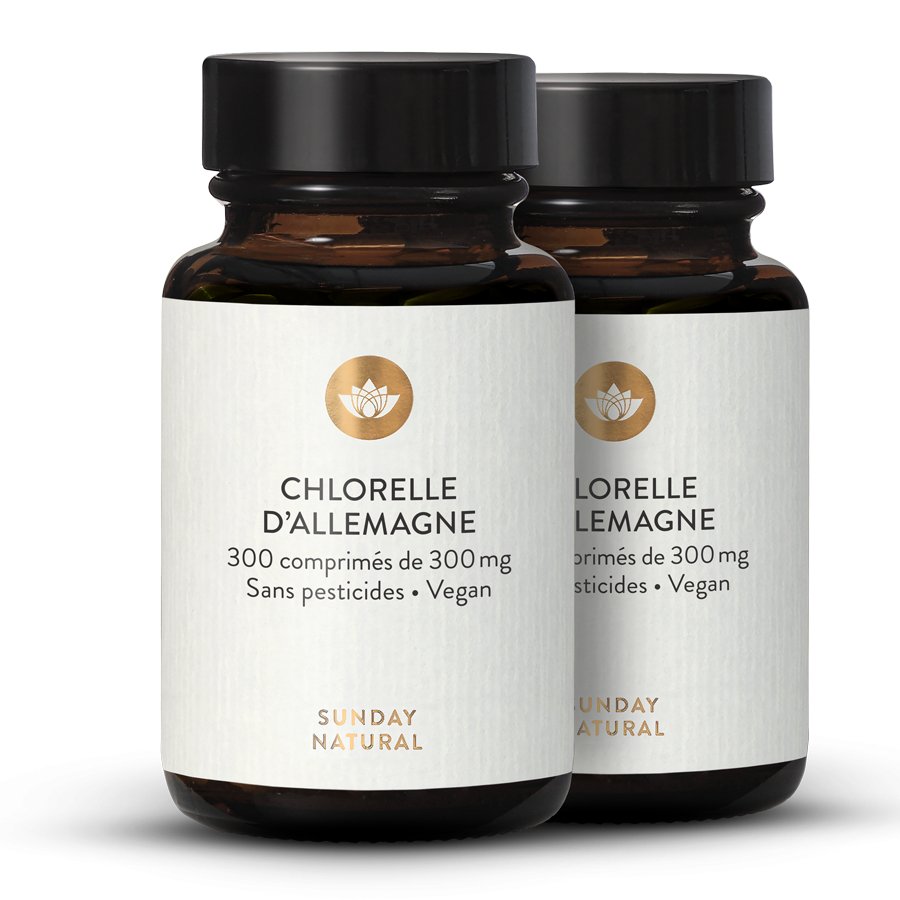 Comment est cultivée notre chlorelle ?