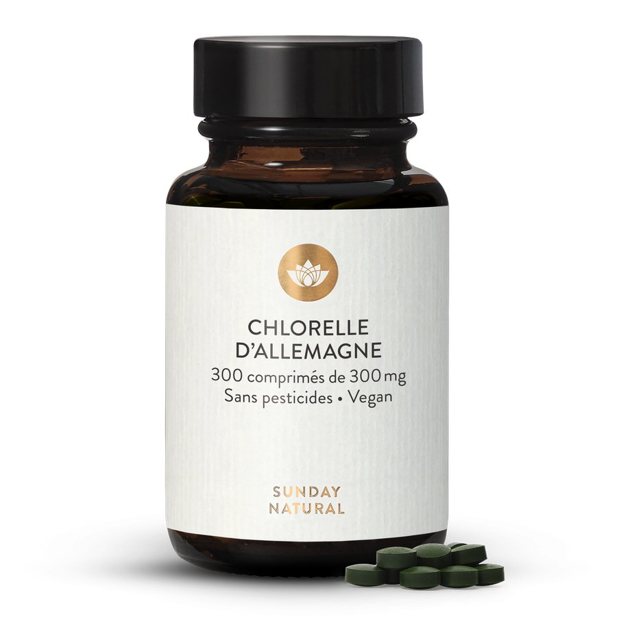 Comment est cultivée notre chlorelle ?