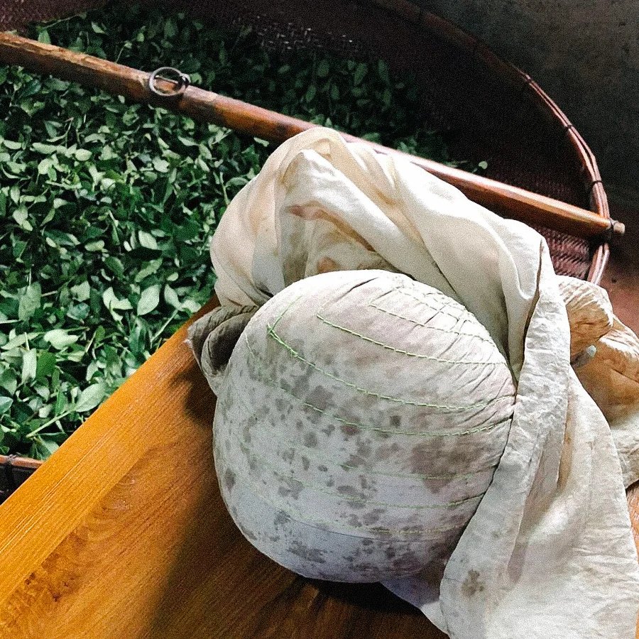 Oolong te