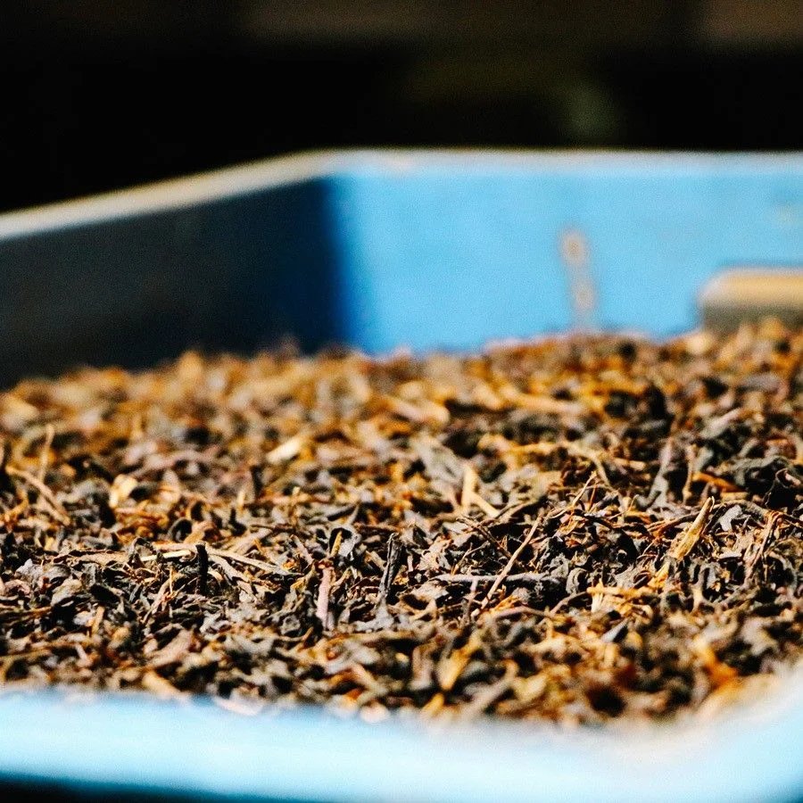 Black Tea