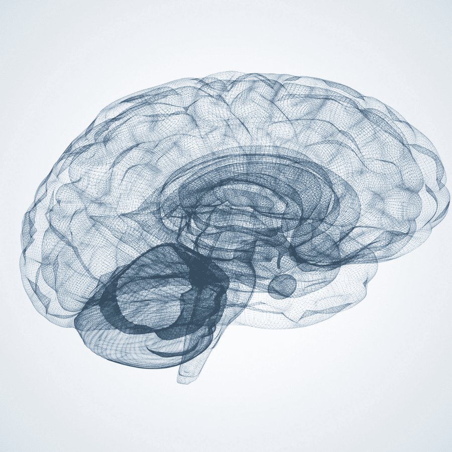 Soutien des fonctions cognitives et du système nerveux