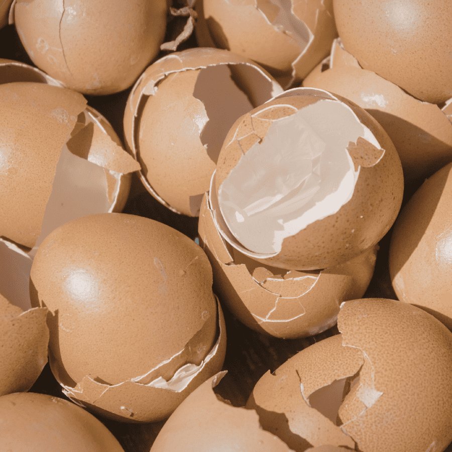 Qu'est-ce que le collagène végétarien Ovoderm® ?