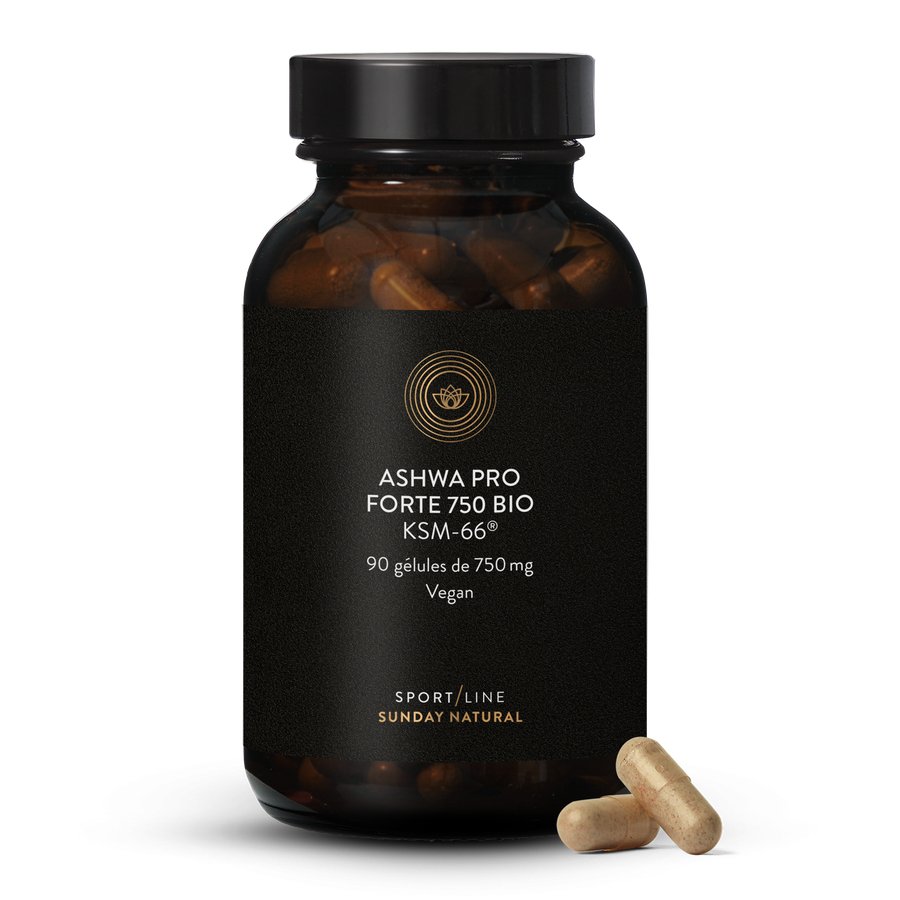 Les bienfaits d'Ashwa Pro Forte Bio KSM-66® 