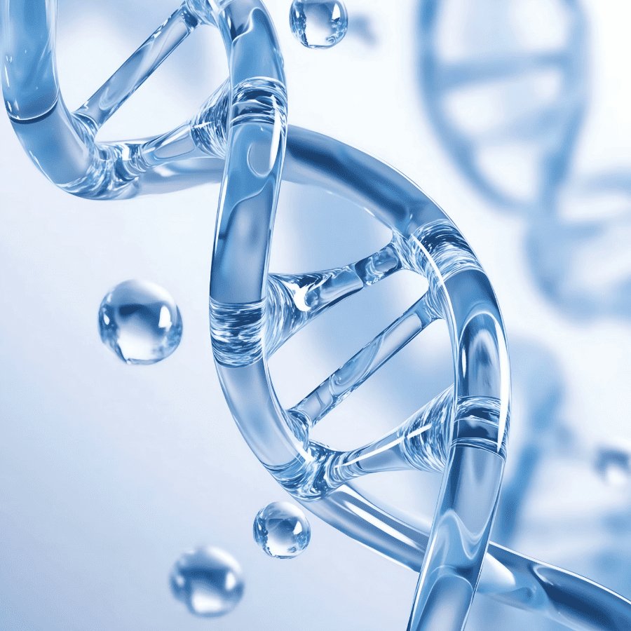 Niagen®, le standard clinique du NAD+