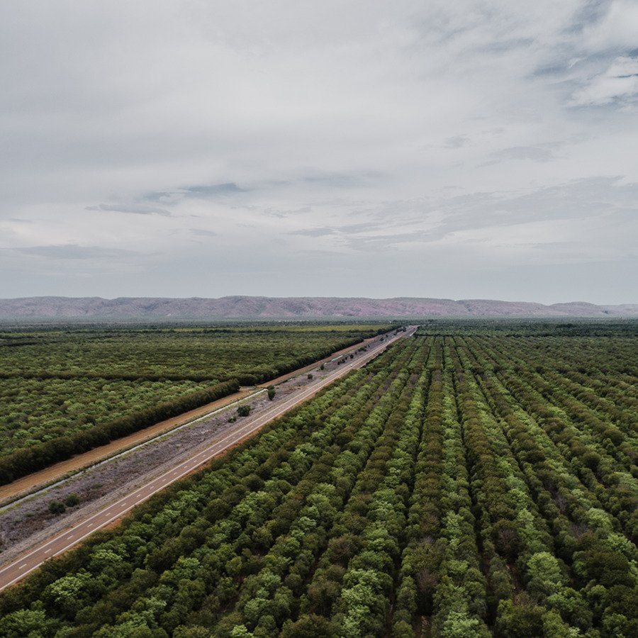 Finest Origin - Highest Grade