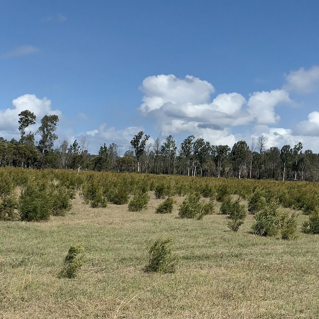 Farm