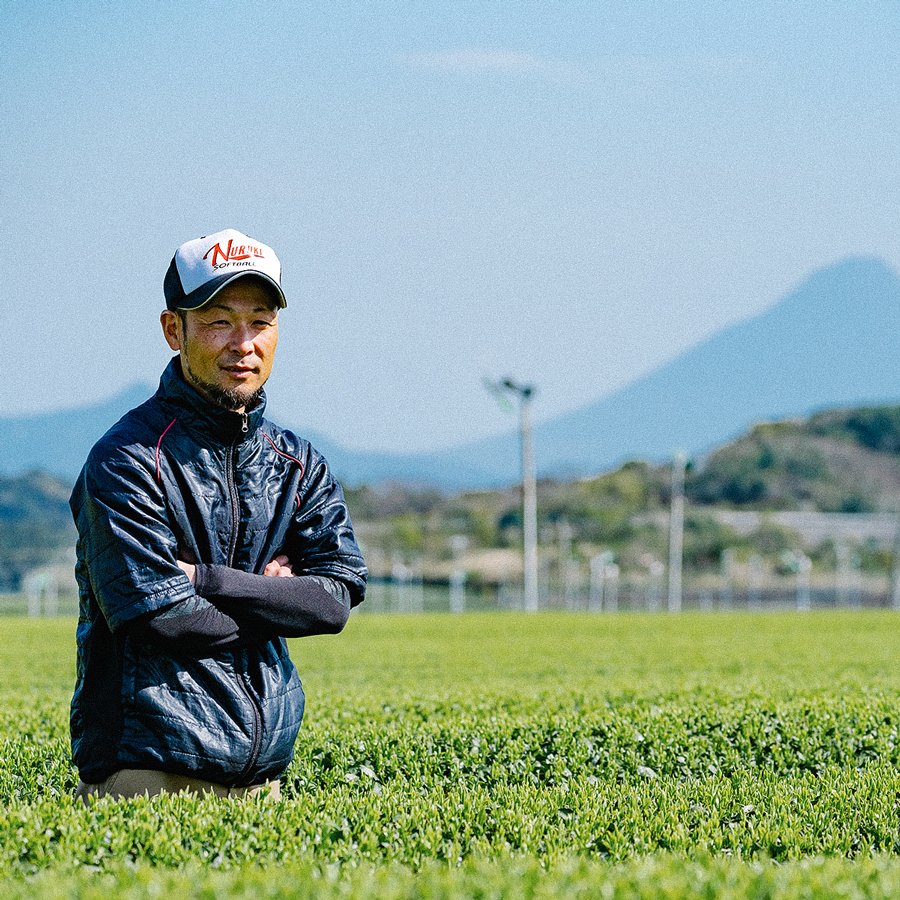 Tea Farm