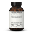 Vegan L-Isoleucine 500mg Capsules Produced by Fermentation