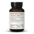 Eisenchelat 45mg Bisglycinat + Vit C