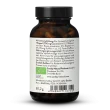 Bio Guarana Kapseln 700mg Kapseln 3,5-5% Koffein