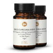 Bio Curcuma 3300 Extrakt Kapseln