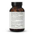 Reishi bio en gélules
