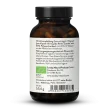 Bio Reishi Extrakt Kapseln