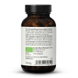 Bio Shiitake Extrakt + Pulver Kapseln
