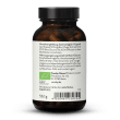 Bio Chaga Extrakt 20% Beta-Glucan