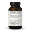 Bio Chaga Extrakt 30% Polysaccharide