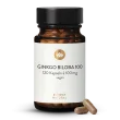 Ginkgo Biloba 100mg 45:1 Extrakt