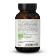 Bio Cordyceps Extrakt Kapseln