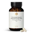 Folsure (Folat) Magnafolate Pro 400g