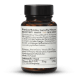 Vitamine B6 P-5-P bioactive hautement dosé