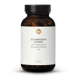 Champignon Extrakt Kapseln