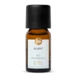 Elecampane Oil Organic